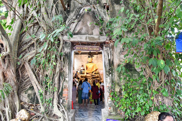 菩提樹に侵食された寺院